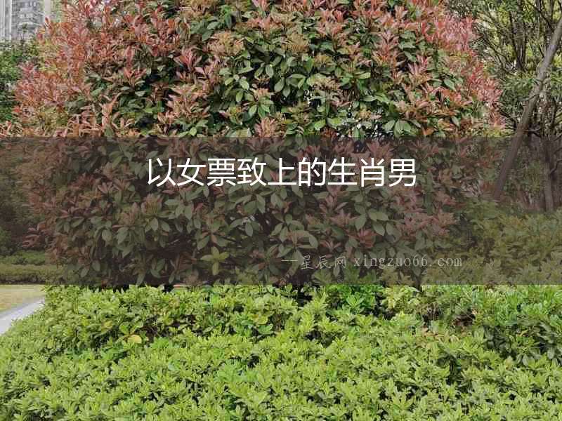 以女票致上的生肖男