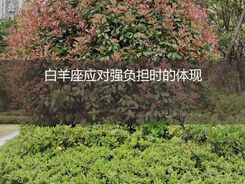 白羊座應對強負擔時的體現