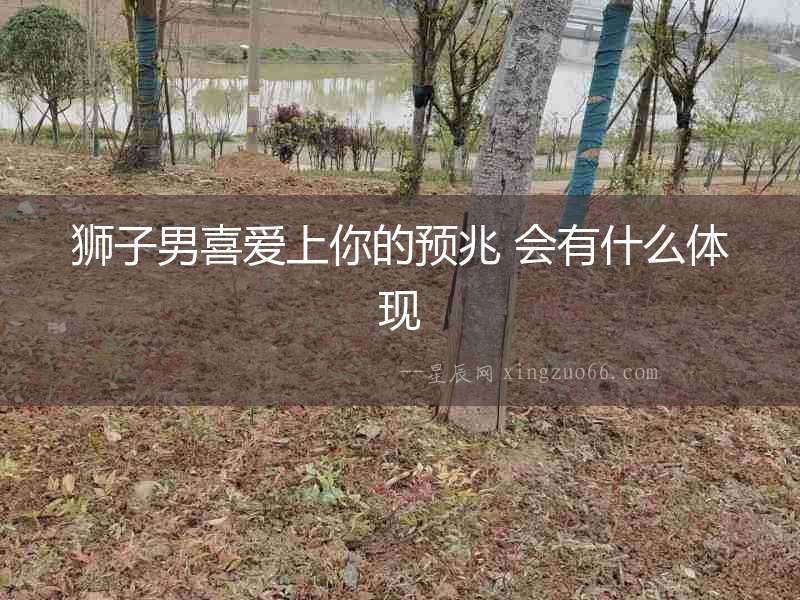 獅子男喜愛上你的預(yù)兆 會有什么體現(xiàn)