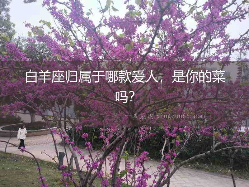 白羊座歸屬于哪款愛人，是你的菜嗎？