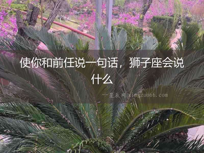 使你和前任說一句話，獅子座會說什么