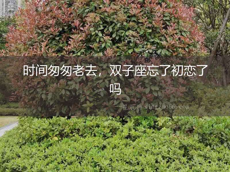 時間匆匆老去，雙子座忘了初戀了嗎
