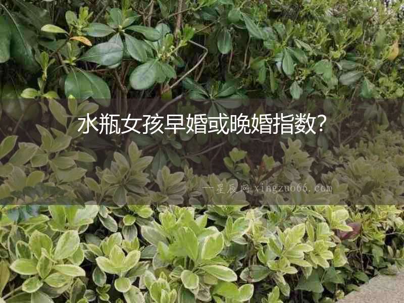 水瓶女孩早婚或晚婚指數？