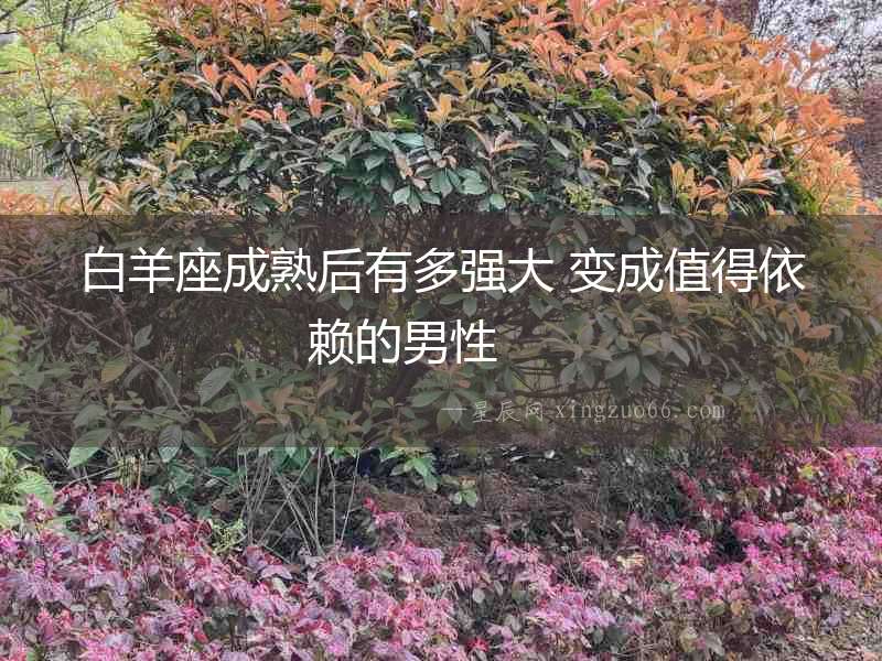 白羊座成熟后有多強大 變成值得依賴的男性  　　