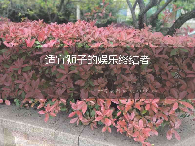 適宜獅子的娛樂終結者