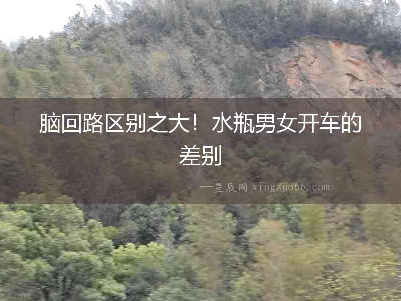 腦回路區(qū)別之大！水瓶男女開車的差別
