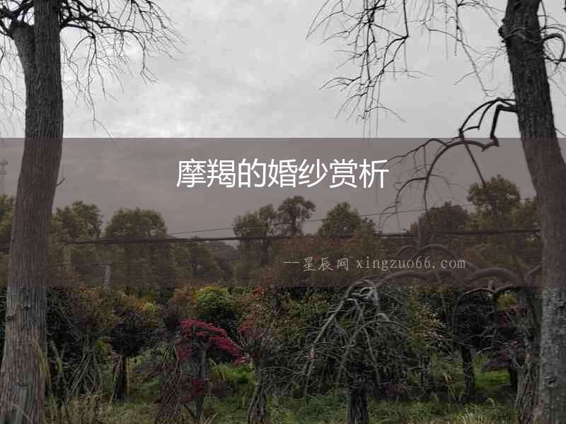 摩羯的婚紗賞析