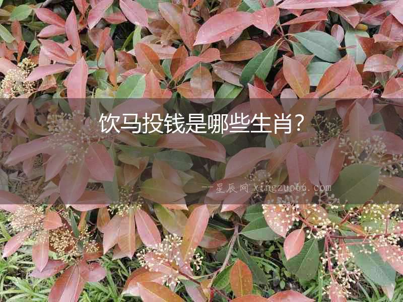 飲馬投錢是哪些生肖？