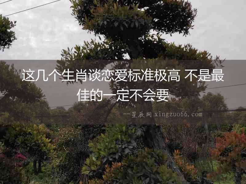 這幾個生肖談戀愛標(biāo)準(zhǔn)極高 不是最佳的一定不會要