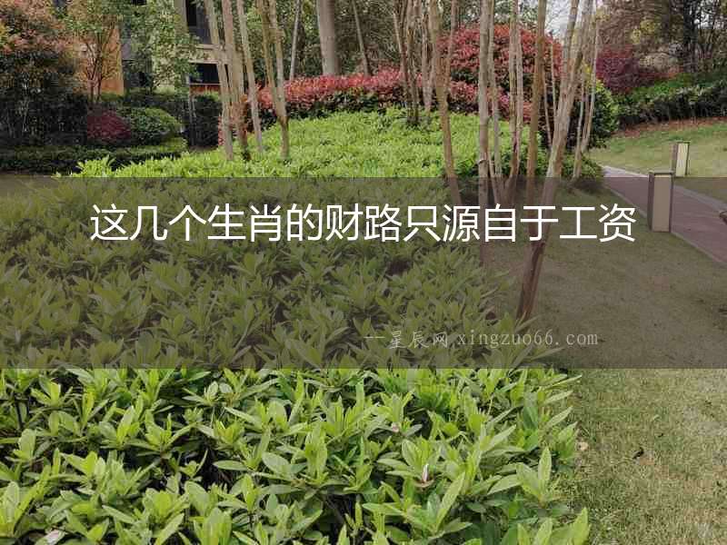 這幾個生肖的財路只源自于工資