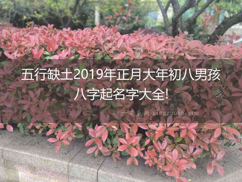 五行缺土2019年正月大年初八男孩八字起名字大全!
