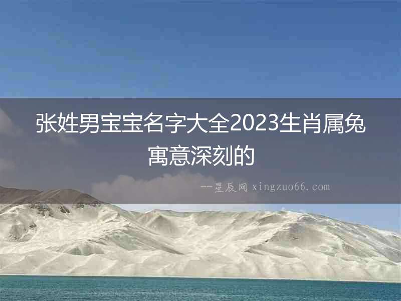 張姓男寶寶名字大全2023生肖屬兔寓意深刻的