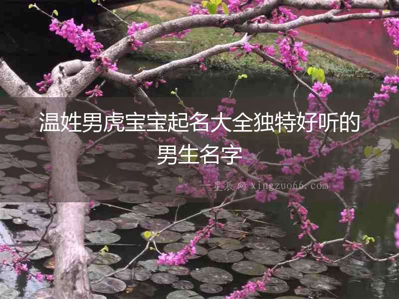 溫姓男虎寶寶起名大全獨特好聽的男生名字