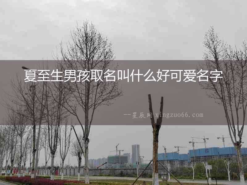 夏至生男孩取名叫什么好可愛(ài)名字