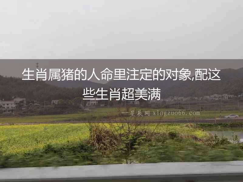 生肖屬豬的人命里注定的對(duì)象,配這些生肖超美滿