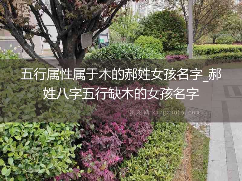 五行屬性屬于木的郝姓女孩名字_郝姓八字五行缺木的女孩名字