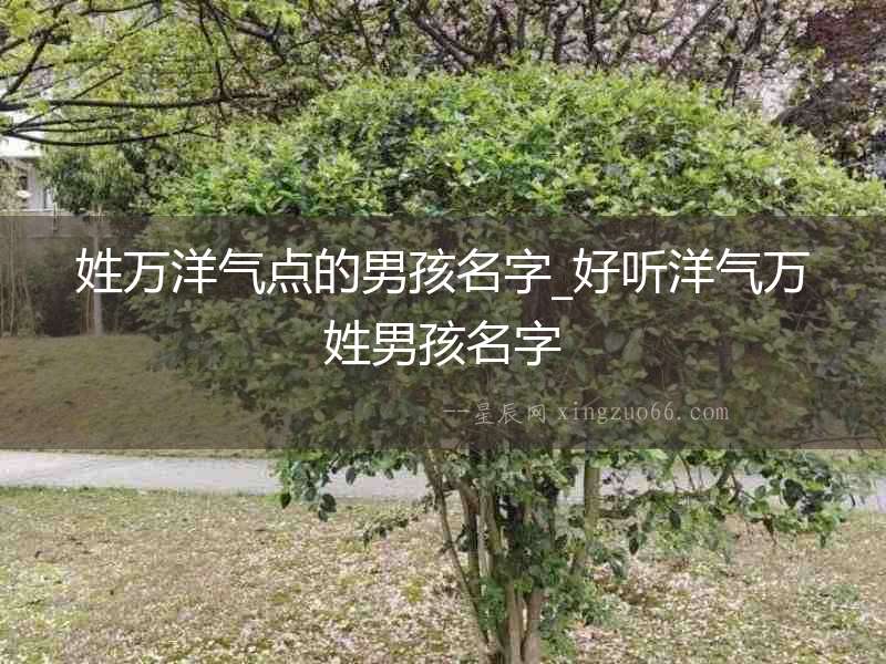姓萬洋氣點的男孩名字_好聽洋氣萬姓男孩名字
