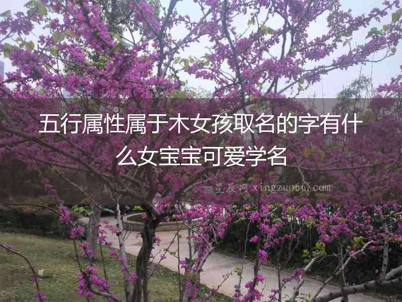 五行屬性屬于木女孩取名的字有什么女寶寶可愛學名