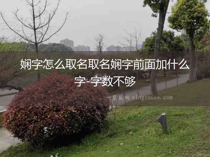 嫻字怎么取名取名嫻字前面加什么字-字?jǐn)?shù)不夠