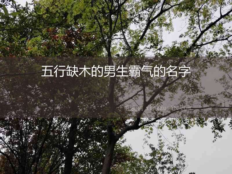 五行缺木的男生霸氣的名字