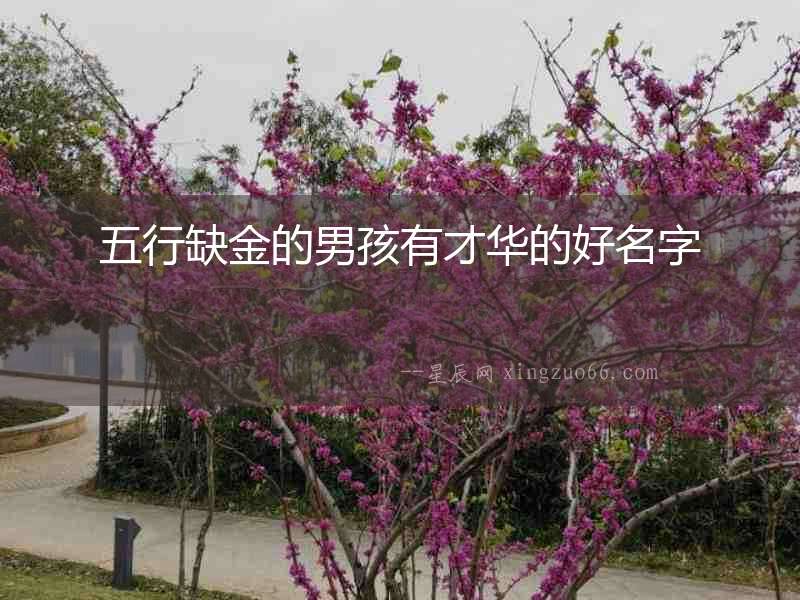五行缺金的男孩有才華的好名字