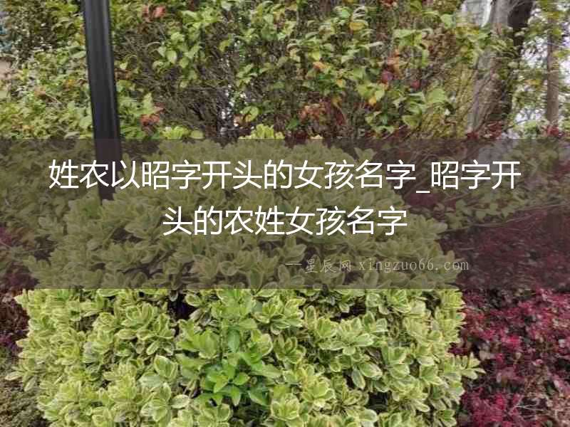 姓農(nóng)以昭字開頭的女孩名字_昭字開頭的農(nóng)姓女孩名字