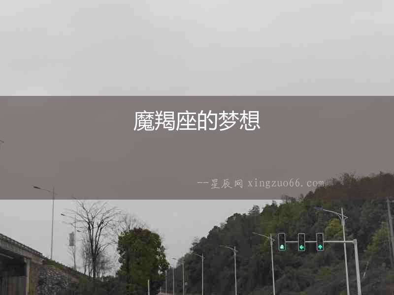 魔羯座的夢想