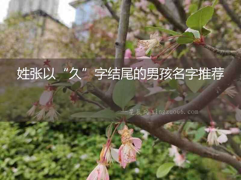 姓張以“久”字結尾的男孩名字推薦