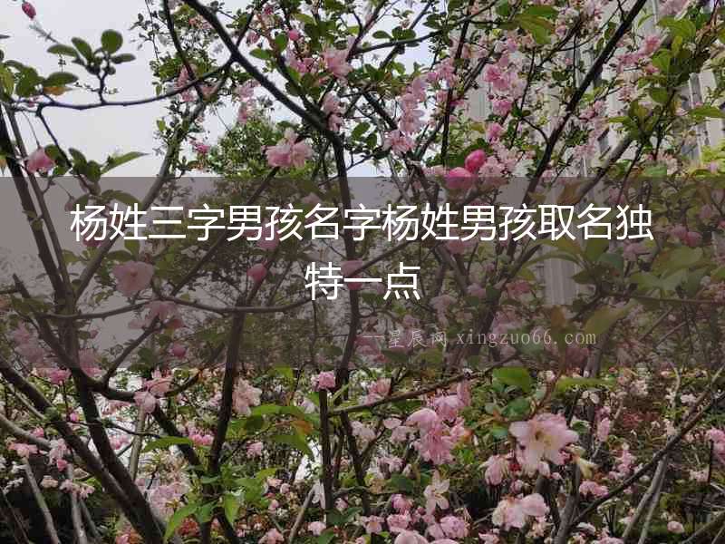 楊姓三字男孩名字楊姓男孩取名獨特一點
