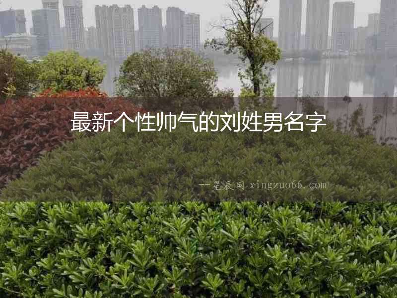 最新個性帥氣的劉姓男名字
