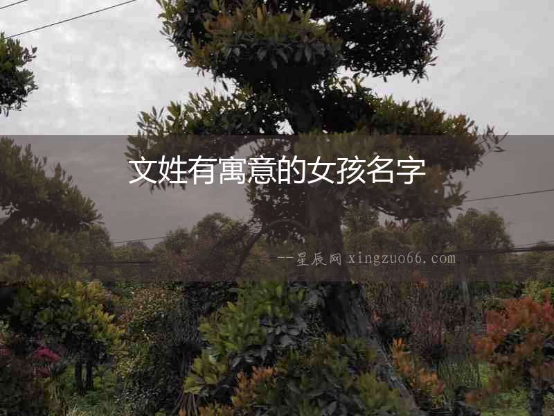 文姓有寓意的女孩名字