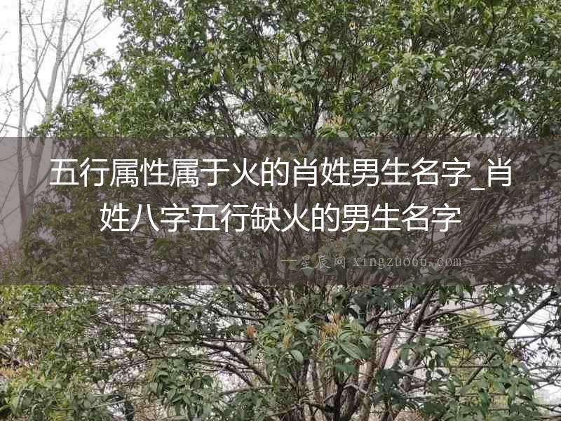 五行屬性屬于火的肖姓男生名字_肖姓八字五行缺火的男生名字