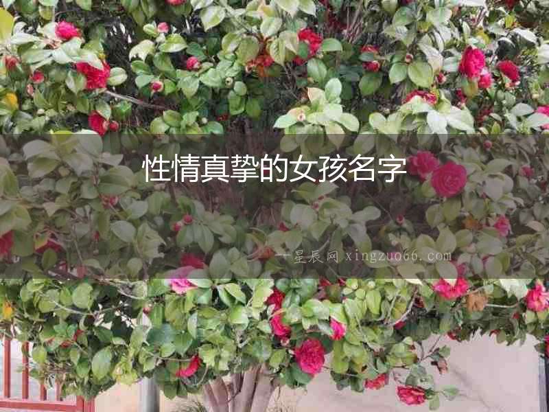 性情真摯的女孩名字