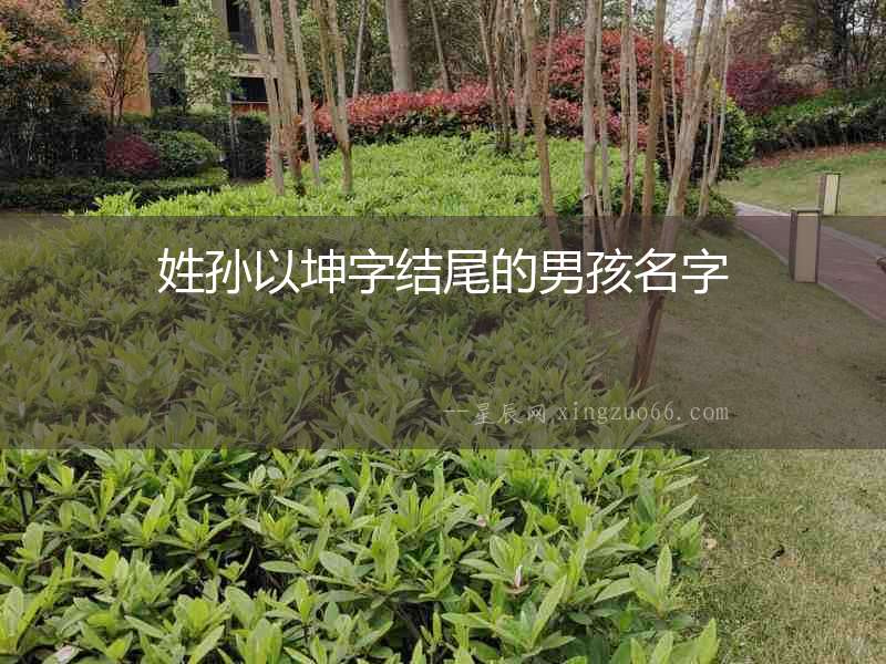 姓孫以坤字結尾的男孩名字