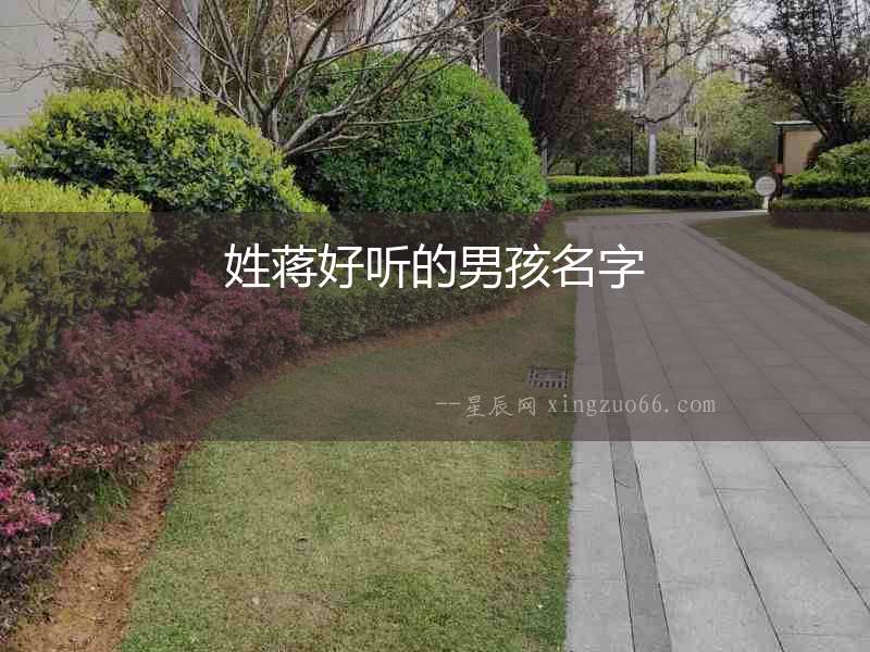 姓蔣好聽的男孩名字