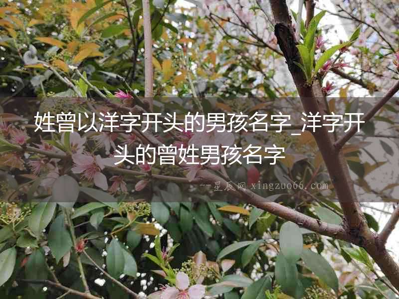 姓曾以洋字開頭的男孩名字_洋字開頭的曾姓男孩名字