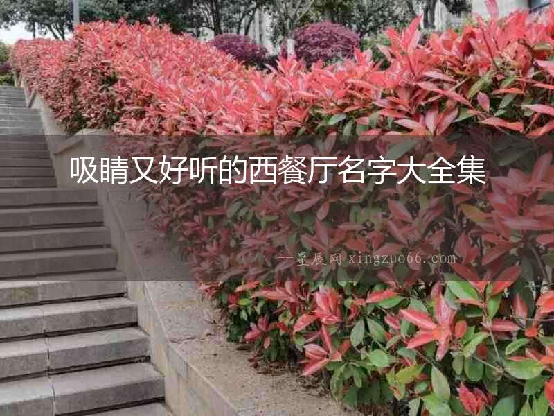 吸睛又好聽的西餐廳名字大全集