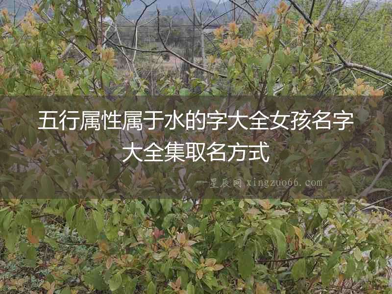 五行屬性屬于水的字大全女孩名字大全集取名方式
