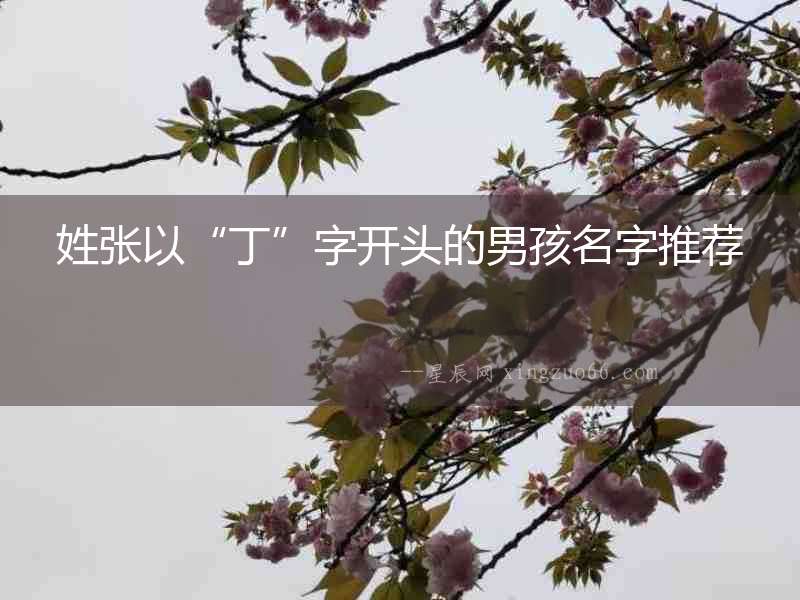 姓張以“丁”字開頭的男孩名字推薦