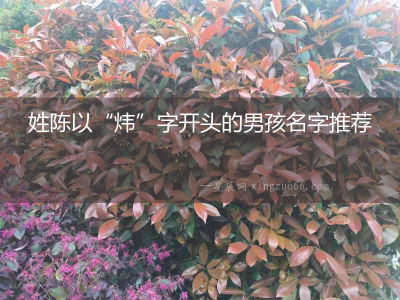 姓陳以“煒”字開頭的男孩名字推薦