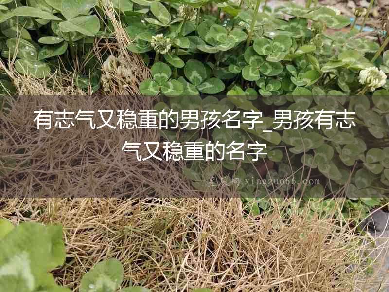 有志氣又穩(wěn)重的男孩名字_男孩有志氣又穩(wěn)重的名字