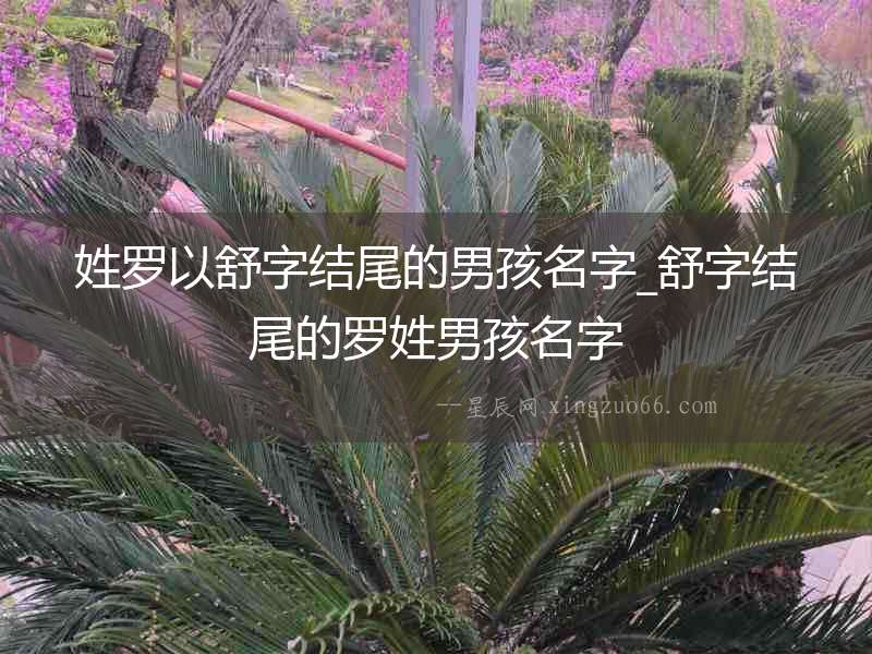 姓羅以舒字結(jié)尾的男孩名字_舒字結(jié)尾的羅姓男孩名字