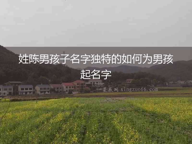 姓陳男孩子名字獨特的如何為男孩起名字