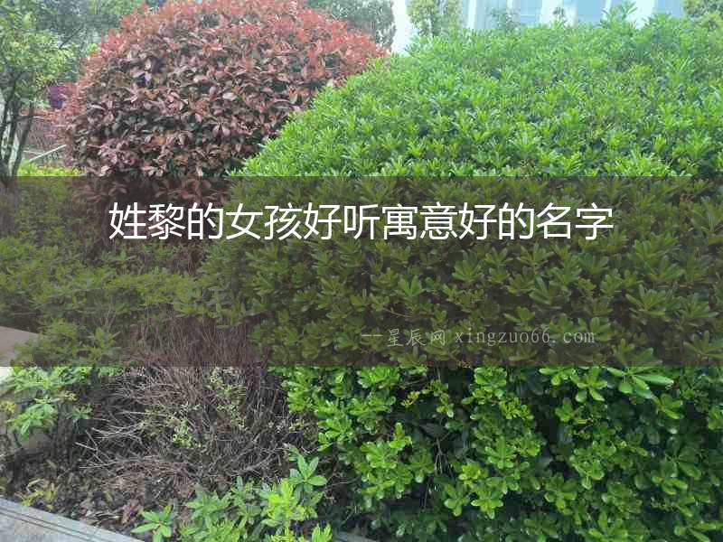 姓黎的女孩好聽寓意好的名字