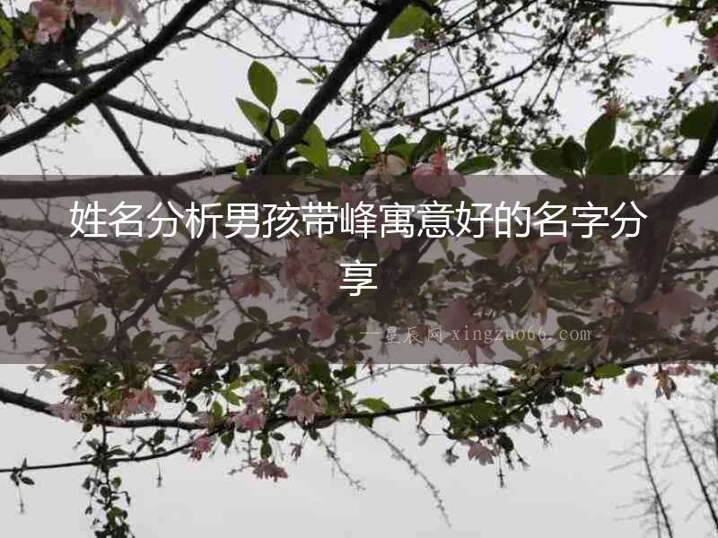 姓名分析男孩帶峰寓意好的名字分享