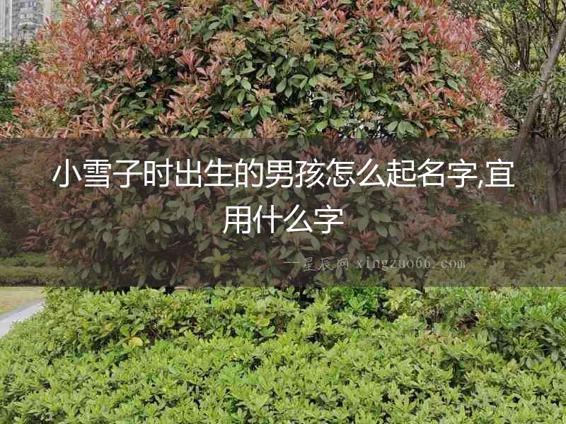 小雪子時出生的男孩怎么起名字,宜用什么字