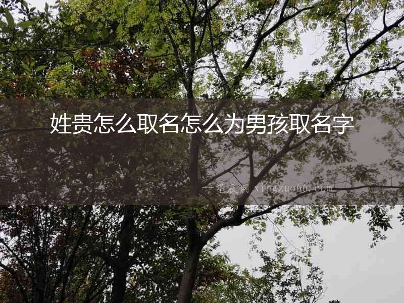 姓貴怎么取名怎么為男孩取名字