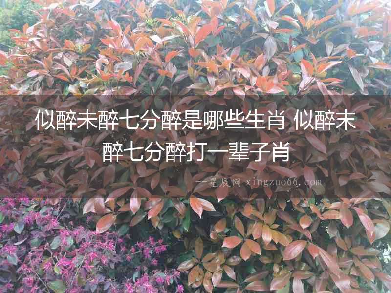 似醉未醉七分醉是哪些生肖 似醉末醉七分醉打一輩子肖