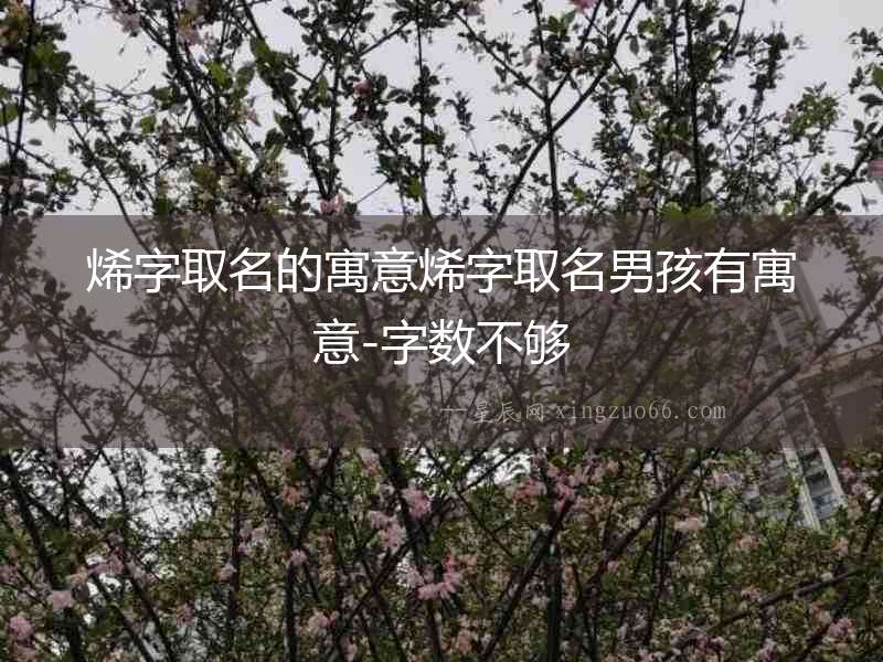 烯字取名的寓意烯字取名男孩有寓意-字數不夠