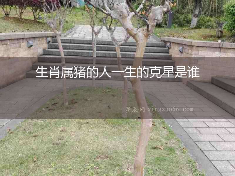生肖屬豬的人一生的克星是誰(shuí)